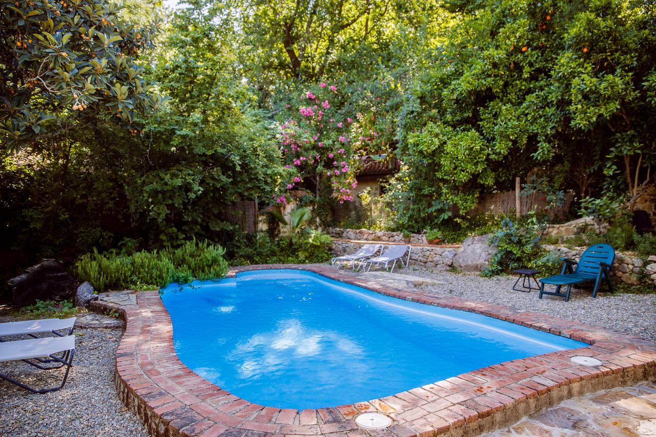 Casa Rural La Casa Del Bosque Navaconcejo Exterior photo